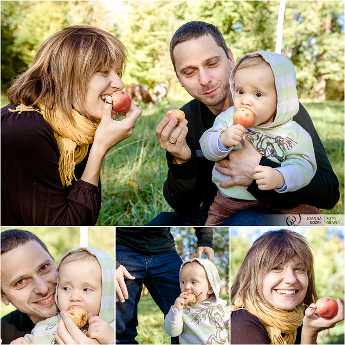 fotografia rodzinna w sadzie pełnym jabłek