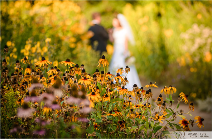 plener ślubny w ogrodzie botanicznym 